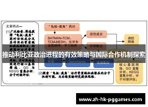 推动利比亚政治进程的有效策略与国际合作机制探索